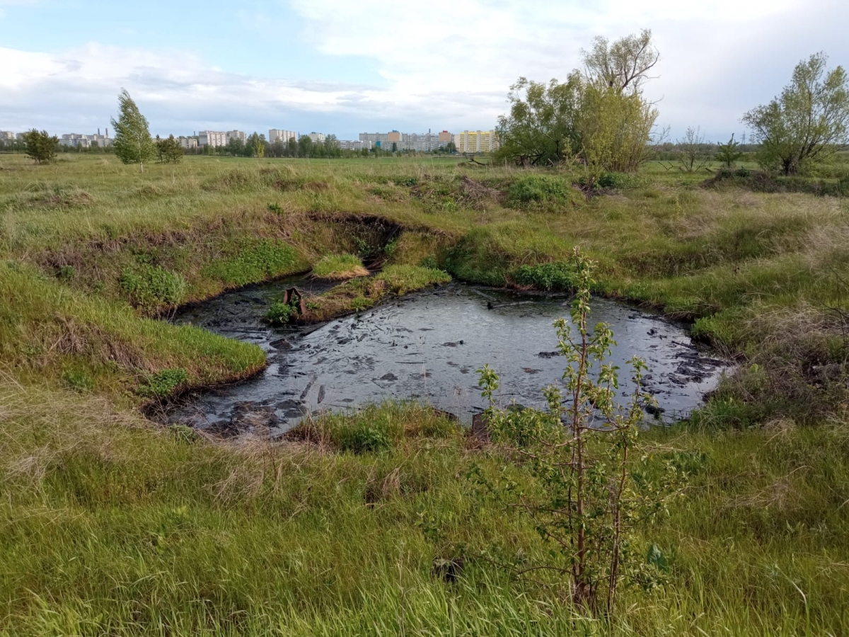 В двух километрах от Кузнецка обнаружены земли, на которых произошел разлив нефтепродуктов